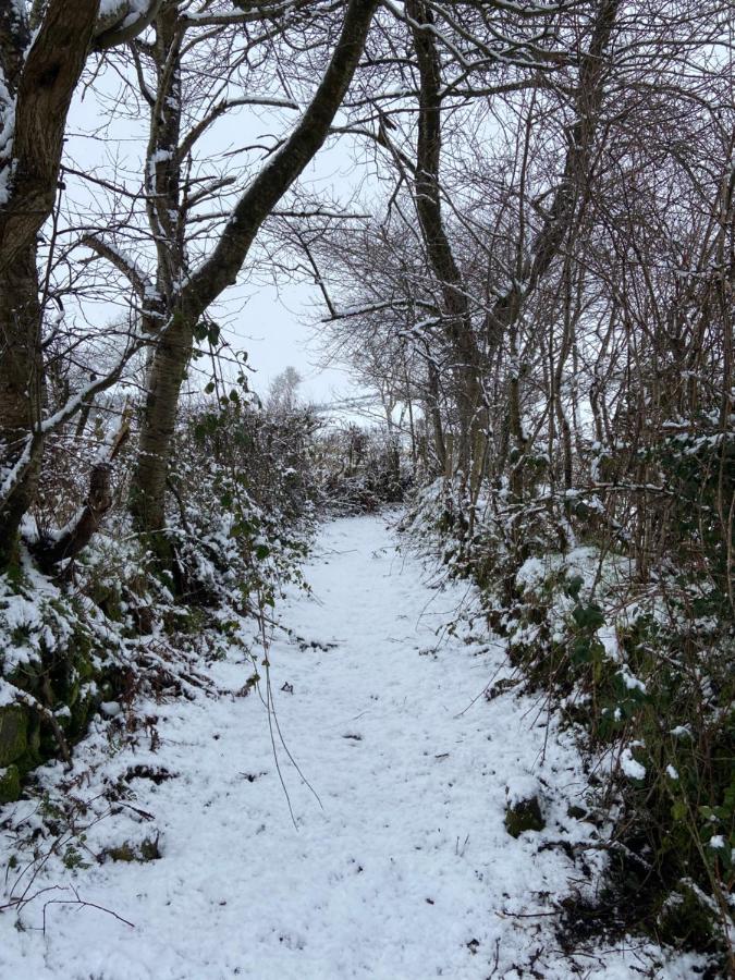 Bramble Cottage Rathfriland Buitenkant foto