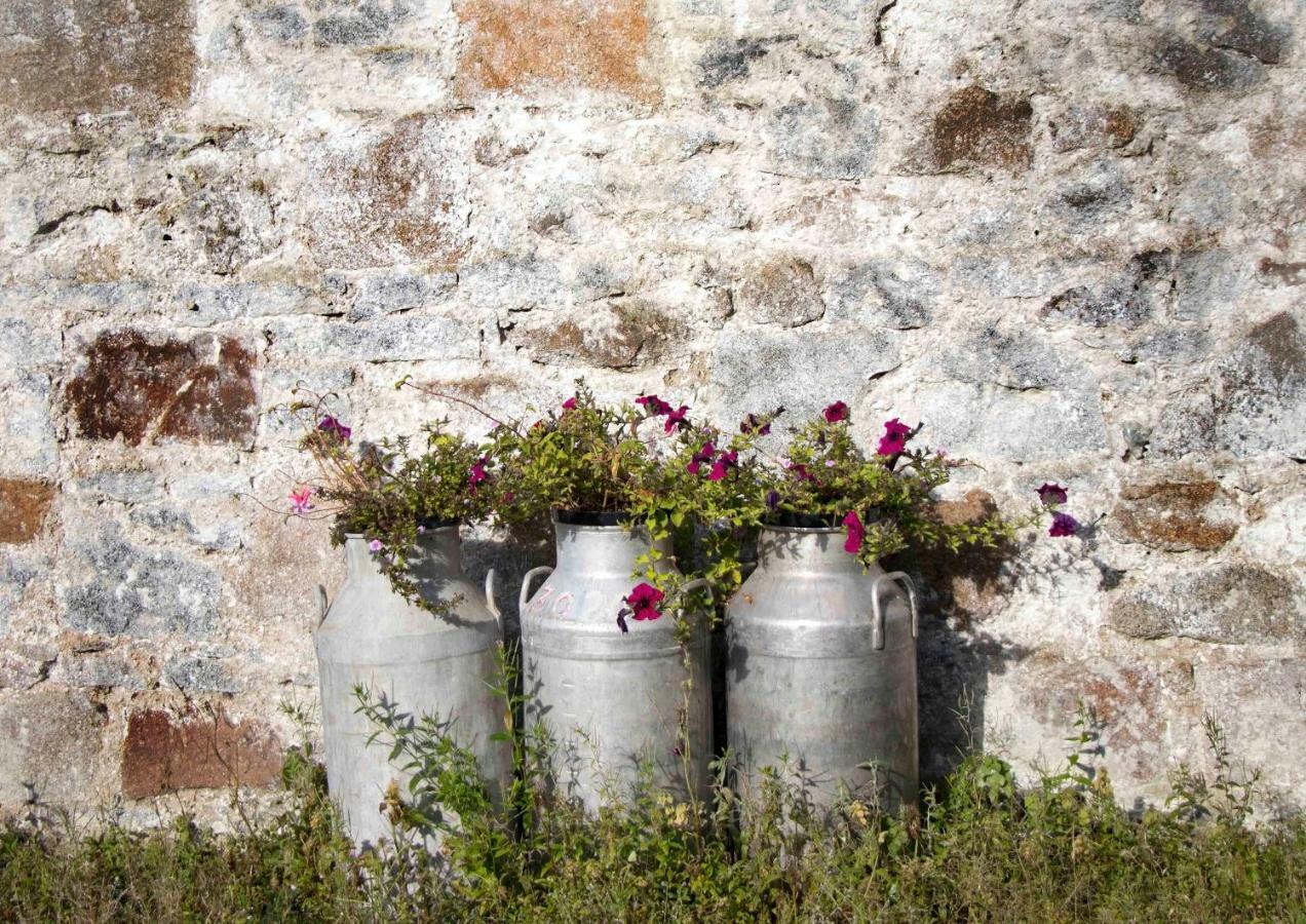 Bramble Cottage Rathfriland Buitenkant foto